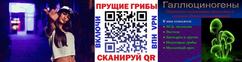 что такое   Кострома  гидра tor  Галлюциногенные грибы мухоморы 